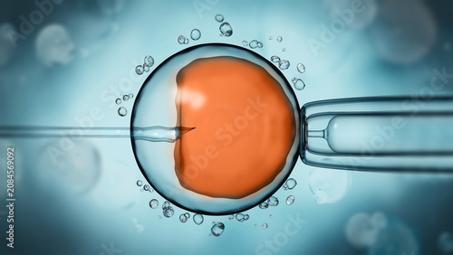 Obraz na plátně Artificial insemination illustration showing the ovule on blue background