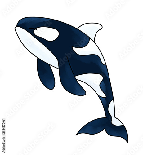 Cute killer whale cartoon illustration jumping with a playful ocean theme.
