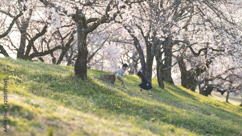 Konstfotografi 桜並木を子供が遊ぶ風景
