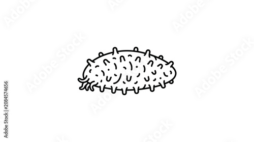 Hand-drawn illustration of a sea cucumber, isolated on white background