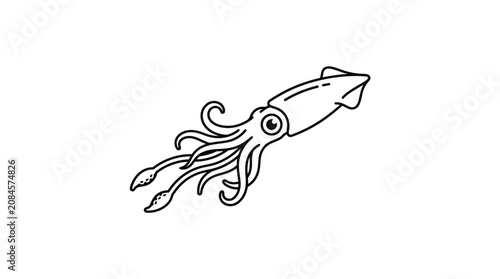 Minimalist Line Art Squid Illustration