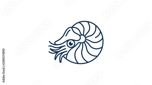 Nautilus shell outline icon, simple minimalist design, marine life symbol