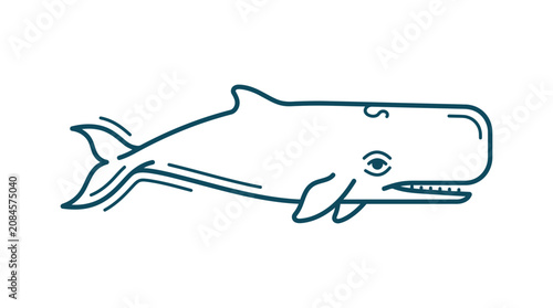 Minimalist sperm whale illustration, simple line art, ocean mammal, marine life, isolated on white