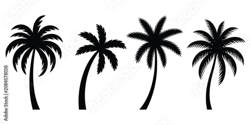 Fényképezés Set of four distinct black palm tree silhouettes isolated on plain white backgro
