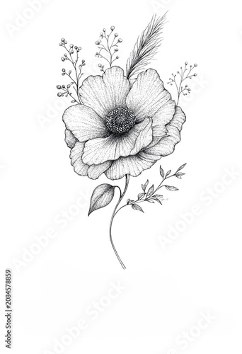 Detailed Sketch of a Poppy Flower with Feathers and Berries