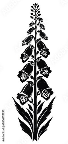 Black and White Foxglove Illustration