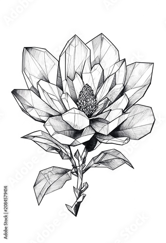 Geometric Crystal Flower Sketch