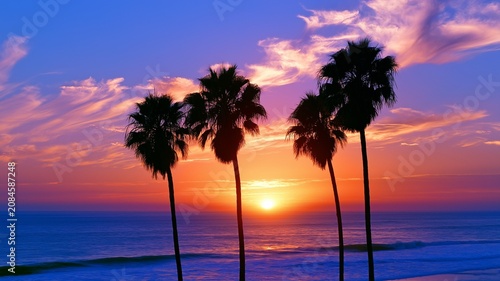A tranquil sunset over the ocean with palm palms in the backdrop that may be used as a landscape or background