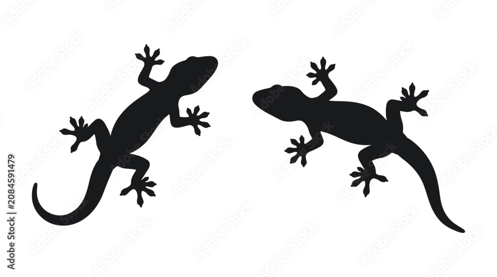 Fototapeta premium Lizard Silhouettes On White Background Two Reptile Shapes