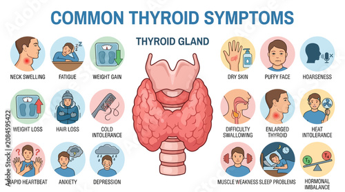 Thyroid Gland Infographic Showing Common Symptoms.