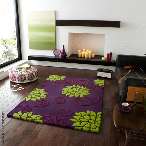 Modern Living Room Interior with Colorful Floral Rug, Minimalist Fireplace and Contemporary Home Decor