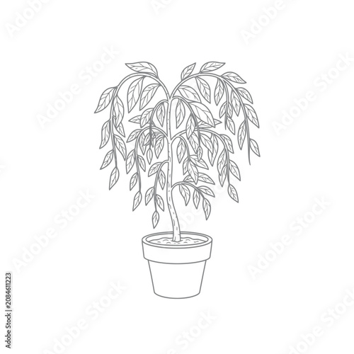 Hand drawn line art illustration of a potted houseplant with drooping leaves.
