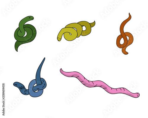 vector illustration set of colorful cartoon snakes and worms in various coiled and crawling poses