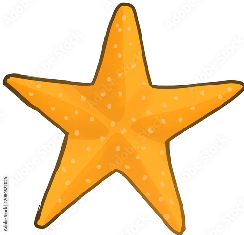 Konstfotografi A starfish