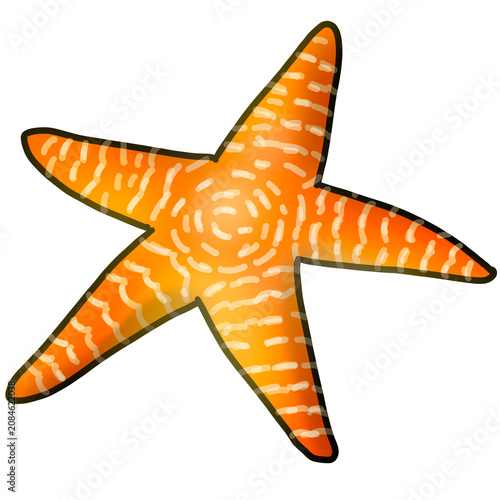 Foto A starfish