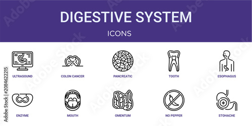 Set of 10 thin line Digestive System icons for dashboards, websites and mobile app layouts. Editable outline vector pack featuring ultrasound, pancreatic islet, esophagus, mouth and stohache.