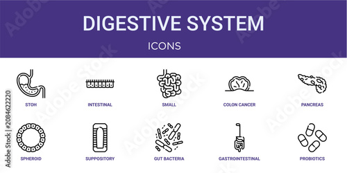 Set of 10 thin line Digestive System icons for dashboards, websites and mobile app layouts. Editable outline vector pack featuring stoh, small intestine, pancreas necrotic, suppository and