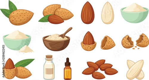 Almond Nut Vector Set with Whole Kernels In Shell Peeled Seed Flour Bowls Milk Bottle and Essential Oil Dropper for Food Branding