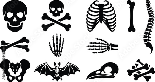 Картината върху платно Skeleton And Bones Silhouette Set On White Background