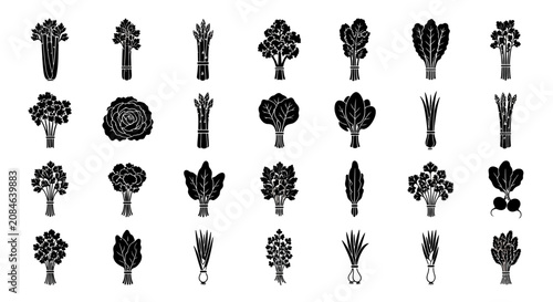 Bild auf Leinwand Bunches of various leafy vegetables and herbs in black silhouette on white backg