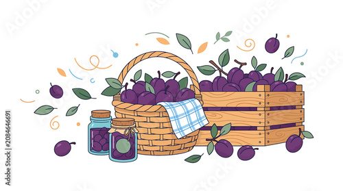 Hand drawn illustration of fresh plums in wicker basket and wooden crate with jam jars.