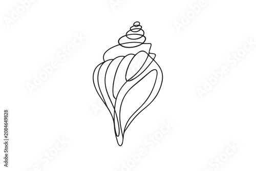 vector illustration of an orchid