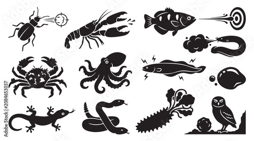Set of various animals, insects, crustaceans, fish, and reptiles vector collection, wildlife illustration.