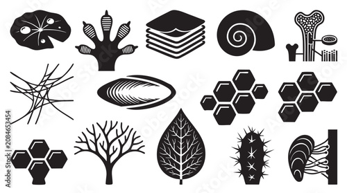 Natural structures and bio inspired textures collection.