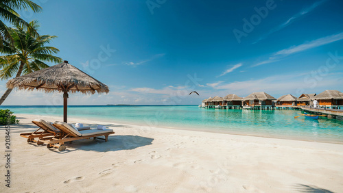 tropical beach with palm trees