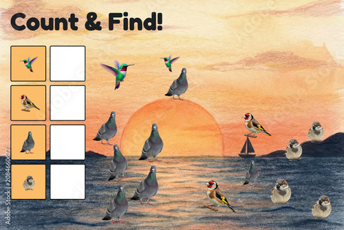 Count and Find Colorful Birds at Sunset Over the Water  