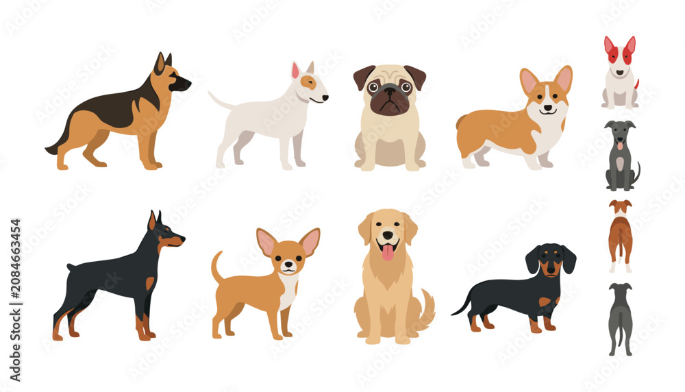 Fototapeta premium Popular Dog Breeds Cartoon Characters Set with German Shepherd Pug Golden Retriever Corgi and Chihuahua for Veterinary Care Pet Shop Icon Flat Vector Illustration