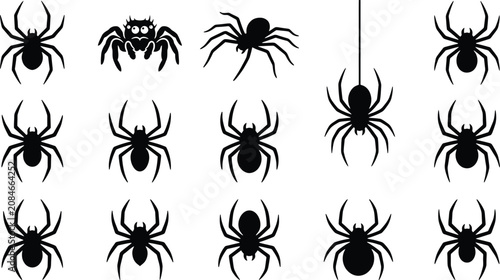 Foto Spider Silhouettes Collection Black And White Vector Illustration