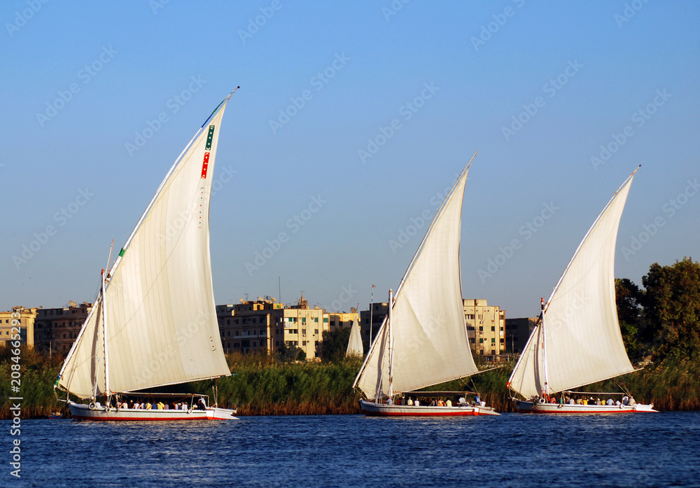 Fototapeta premium ASWAN EGYPT: Felucca sails on the Nile river near Aswan, Egypt. The feluccas seen today were invented in 3350 BC