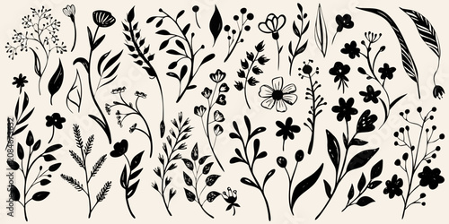 botanical collection in black ink hand drawn style on beige background flowers leaves stems plants flora nature illustration vector artwork design