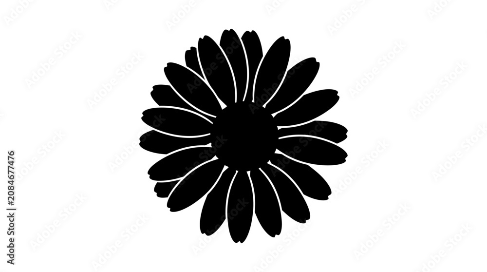 Fototapeta premium Daisy Flower Silhouette Against A White Background