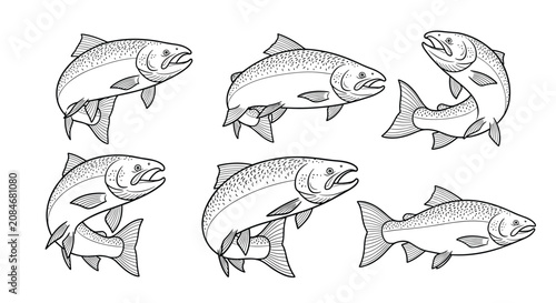 Bilde på lerret Series of detailed black and white sketches showing salmon fish jumping and swimming in various poses on a white background