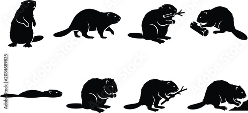 Fotografie Beaver Silhouette Vector Set with Various Animal Poses and Actions Isolated on W