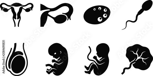 Photos Human Reproduction and Embryonic Development Silhouette Icons Set Isolated on Wh
