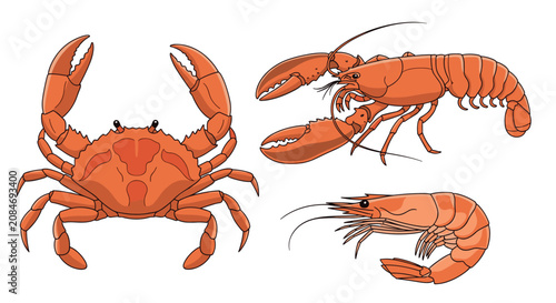 Tableau sur toile Set of three orange crustaceans including a crab, a lobster, and a shrimp in a clean flat vector illustration