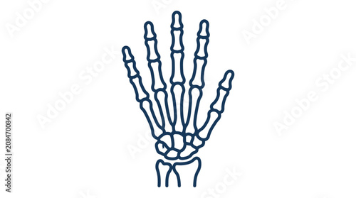 Foto Human Hand Skeleton Outline Vector Icon