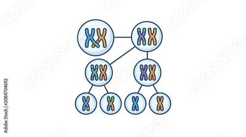 Obraz na plátne Meiosis Cell Division Infographic