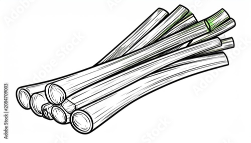 Hand drawn bundle of fresh leeks in engraving style.