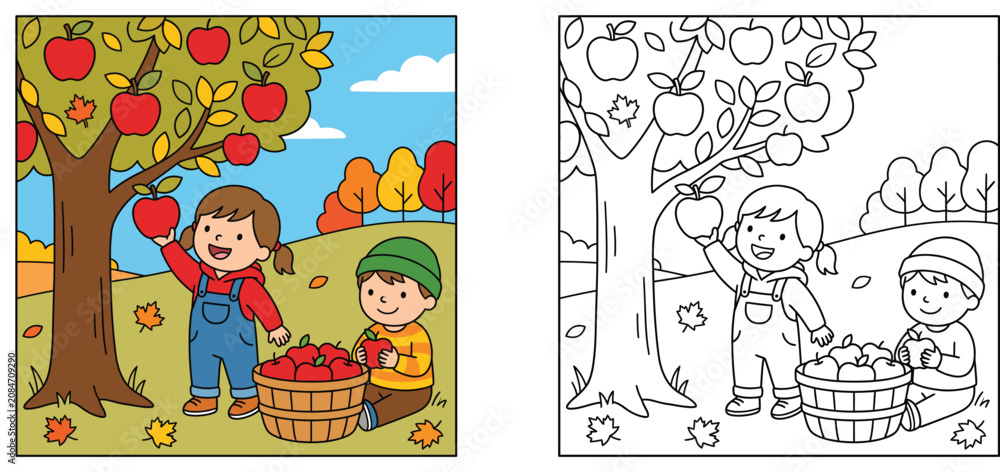 Fototapeta premium Autumn apple picking coloring page and color version vector illustration for kids activity book with boy and girl harvesting apples in orchard garden