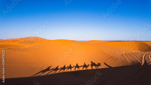Sahara desert Morocco