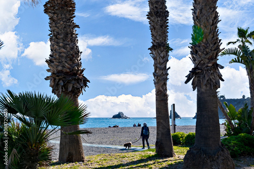 Beautiful image of Almuñécar beach among palm trees, on the Costa Granadina, province of Granada.
