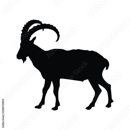 Schilderij op canvas Black ram standing silhouette, black ram sideways silhouette, wild ram black sil