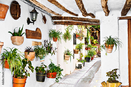 Famous street located in the historic Hondillo neighborhood, it is one of the most charming spots in Lanjarón. Its white houses, adorned with flowerpots, bring the place to life.