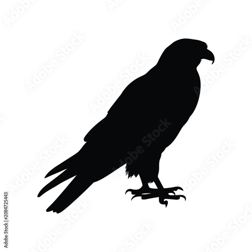 Falcon silhouettes, peregrine falcon flying silhouette, peregrine falcon silhouette vector graphics, falcon eagle flying bird silhouette