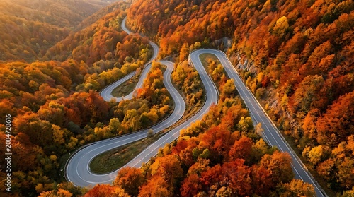 Winding road through a colorful autumn forest captured from an aerial view