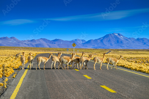 Atacama Desert Chile 